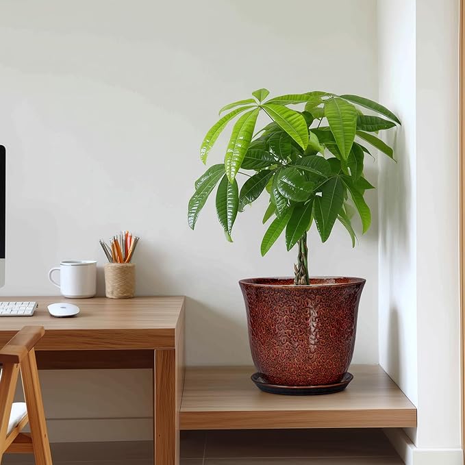 10 Inch Plant Pot - Ceramic Pots for Plants with Drainage Hole and Saucer, Round Flower Pot for Indoor Outdoor, Modern Ceramic Planter, Garden Room Home Decor, House Warming Gifts, Red