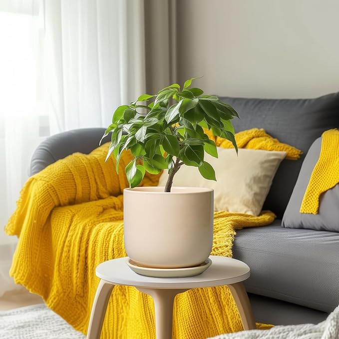 Ceramic Planter - Round Modern 8 Inch Plant Pot with Drainage Hole and Saucer for Flowers Herb, Home House Office Room Apartment Decor, Yellow