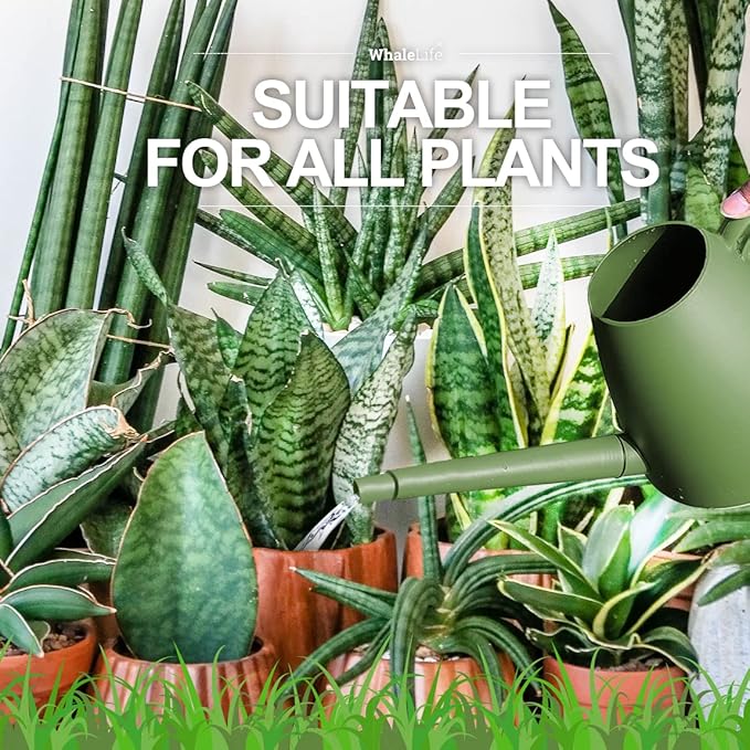 WhaleLife Indoor Watering Can for House Bonsai Plants (2.0L, Green)