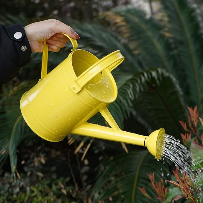 DUSVALLY Metal Watering Can 54.5 Oz Modern Style Watering Pot with Handle and Rosehead, Watering Pot for Outdoor and Indoor House Plants,Yellow
