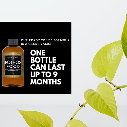 Lush Leaf | Plant Food (Pothos)