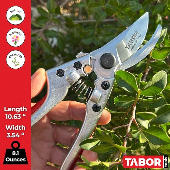 TABOR TOOLS S834A Bypass Pruning Shears, Makes Clean Cuts, Professional Sharp Secateurs, Great for M-L Size Hands, Hand Pruner, Garden Shears, Clippers for The Garden