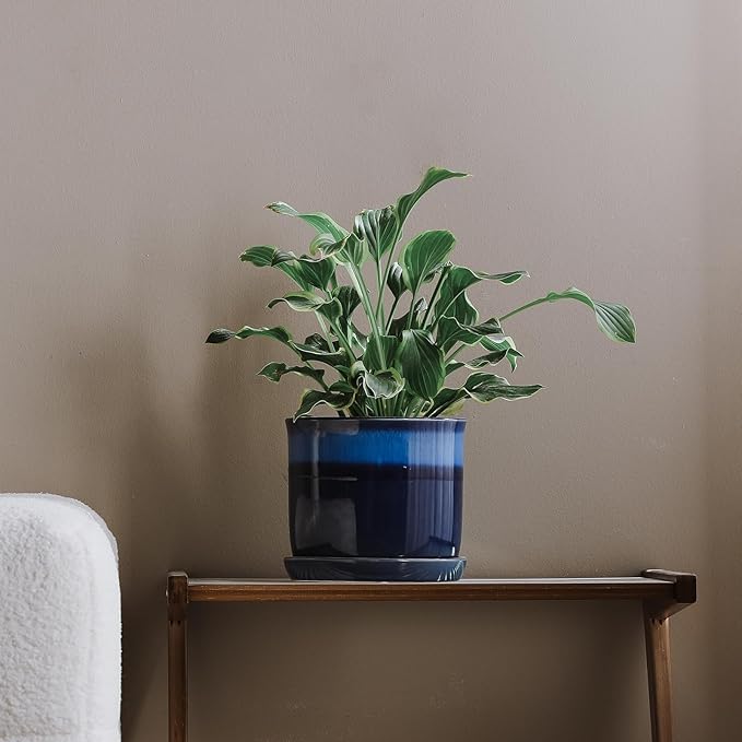 8 Inch Plant Pot: Ceramic Planter with Drainage Hole & Saucer for Indoor Outdoor Plants - Flowerpot with Bonded Tray for Home Office - Blue Reactive Glaze