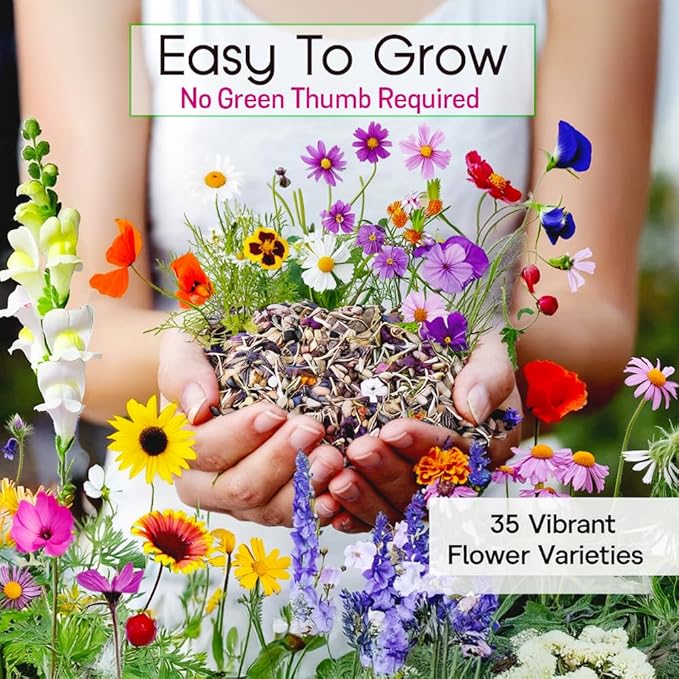 NatureZ Edge Wildflower Seeds Mix – 1/4 lb, 170,000 Seeds, 35 Variety Perennial & Annual Flower Seeds to Plant Outside, Bulk Wildflower Seeds, Wild Flower, Semillas de Flores