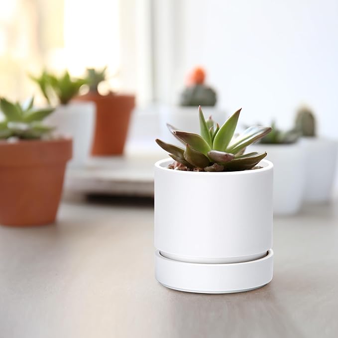 Phoenix Vine 4 Inch Planter Pot with Drainage Hole & Saucer, Deep Water Catch Tray, Straight Cylindrical Round Pot for Plants, Matte White, Pack of 1, 23-B-R-1