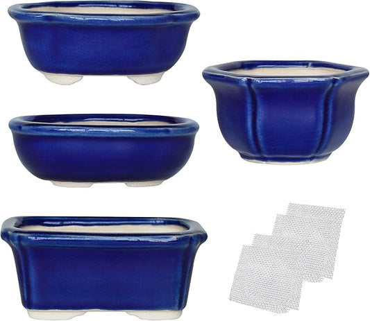 Bonsai Planter Succulent Mini Glazed Pots Value Set of 4, with 4 Soft Mesh Drainage Screens