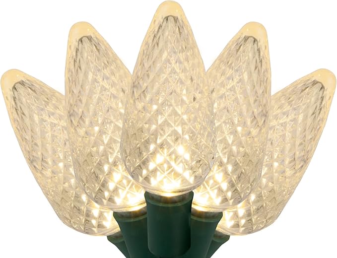 Wintergreen Lighting 25 C9 Warm White LED Christmas Lights, 17 Ft – Indoor Outdoor C9 String Lights, Classic White Christmas Lights