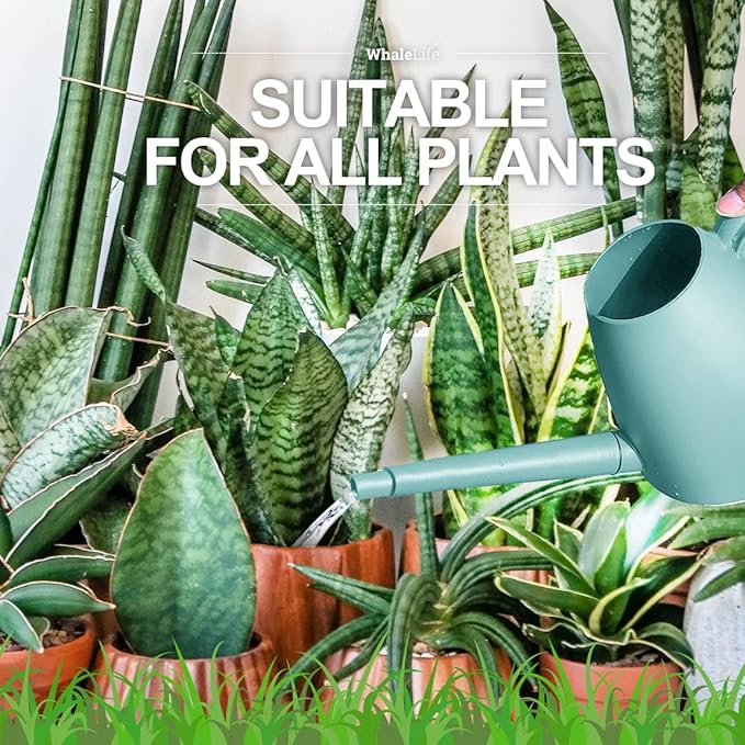 WhaleLife Indoor Watering Can for House Bonsai Plants (2.0L, Blue)