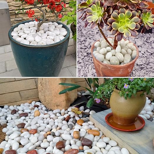 40LB White River Rocks - 2-3 inch High Polished Decorative Pebbles, Stones for Landscaping, Natural River Rocks for Outdoor Décor, Plants,Vase Filler,Fish Tank