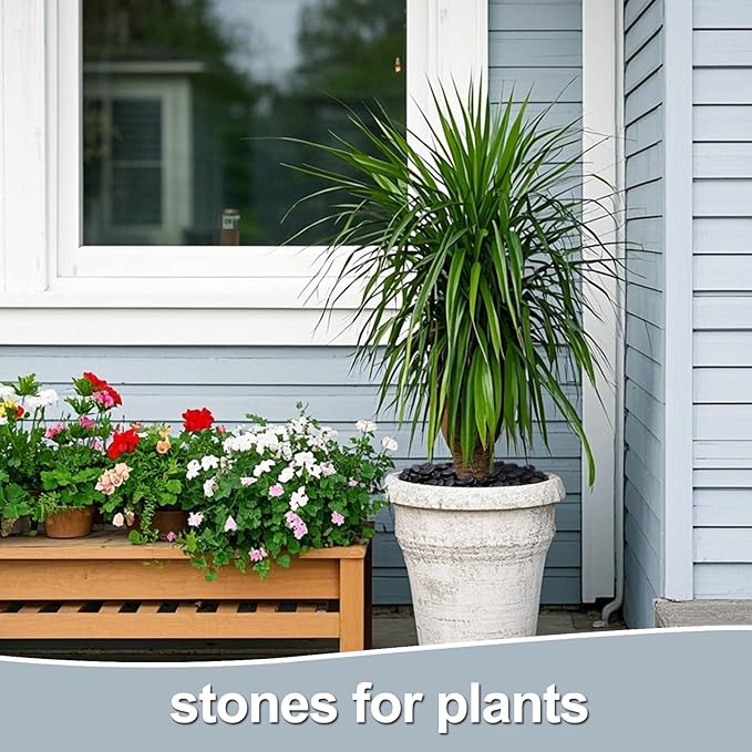 Calofulston 10LB Black Rock, Small River Stones Pebbles for Plants, Vases, Landscaping, Highly Polished Decorative Rocks, 1-1 3/4 Inch