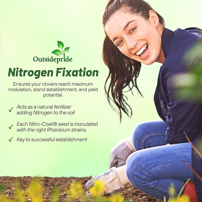 Outsidepride Yellow Sweet Clover Seed - 20 lbs Biennial, Drought-Tolerant, Frost-Resistant, Nitrocoated, Inoculated Yellow Clover Seeds Cover Crop for Forage, Honey Production, & Pollinators