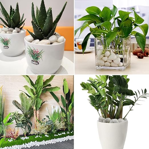 2LB Polished White River Rocks,1-2.2 Inch Pebbles for Plants Stones for Landscaping Pebbles for Fish Tank Garden Vase Filling Pebbles Outdoor Decorative River Rocks