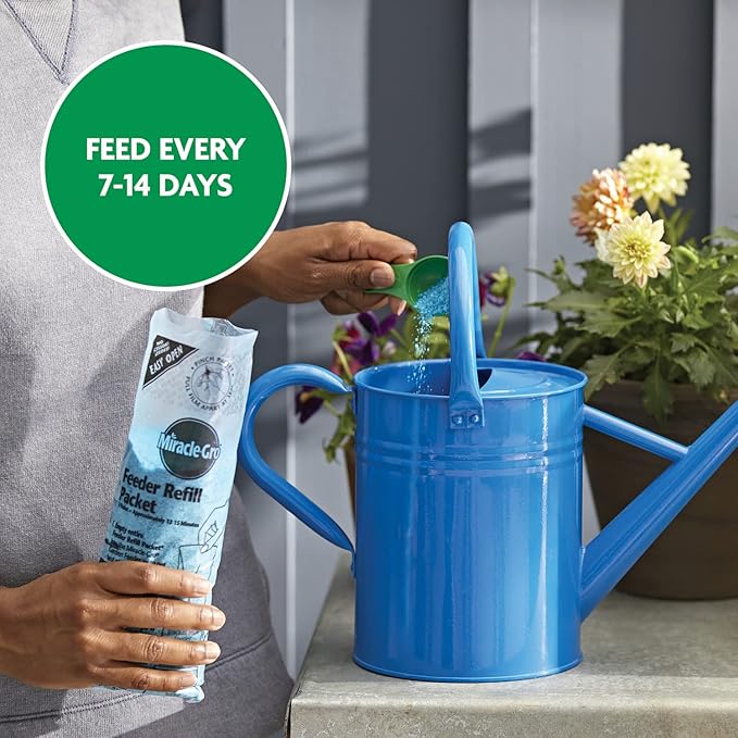 Miracle-Gro Water Soluble All Purpose Plant Food, Plant Fertilizer for Indoor or Outdoor Plants, Roses, Flowers, Houseplants, Vegetables and Trees, 6.25 lb.