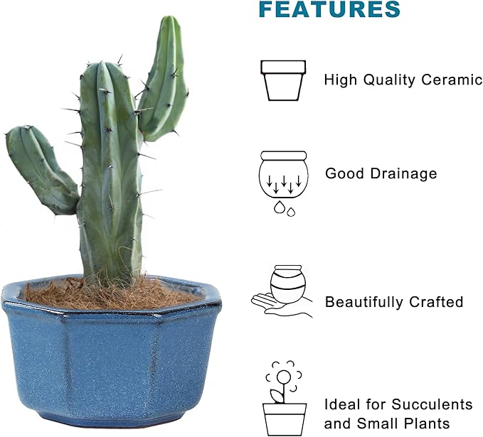 Bonsai Planter Succulent Mini Glazed Pots Value Set of 4, with 4 Soft Mesh Drainage Screens