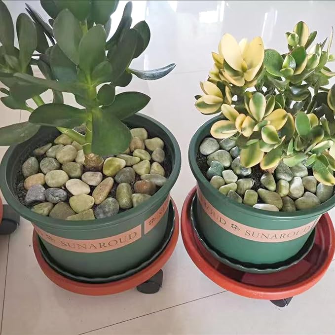 10 lbs Polished River Rocks, 2-3 Inch Large Pebbles for Plants, Decorative Stones for Succulent, Landscaping, Vases, Crafting and Garden