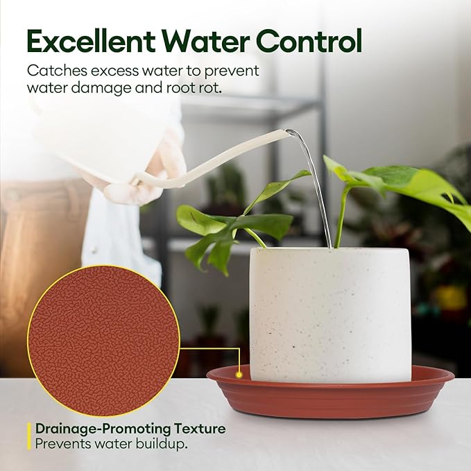 6 Pack Plant Saucer, 8 10 12 inch Plant Saucers for Indoor, Heavy Duty Plastic Plant Trays for pots, Grow Bags, Bird Baths, Flower Drip Trays for Indoor and Outdoor Uses (12", Brown)