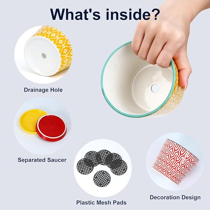 Selamica Ceramic Succulent Pots, 3.4 Inch Small Pots for Plants with Drainage Holes and Saucers, Succulent Planters for Indoor Plants, Cactus, Home Decor, Set of 4, Assorted Colors