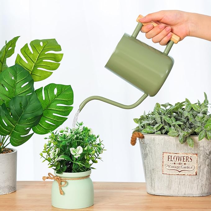 CEWOR Sage Green 35 Oz Metal Watering Can with Long Spout for Indoor & Outdoor Plants