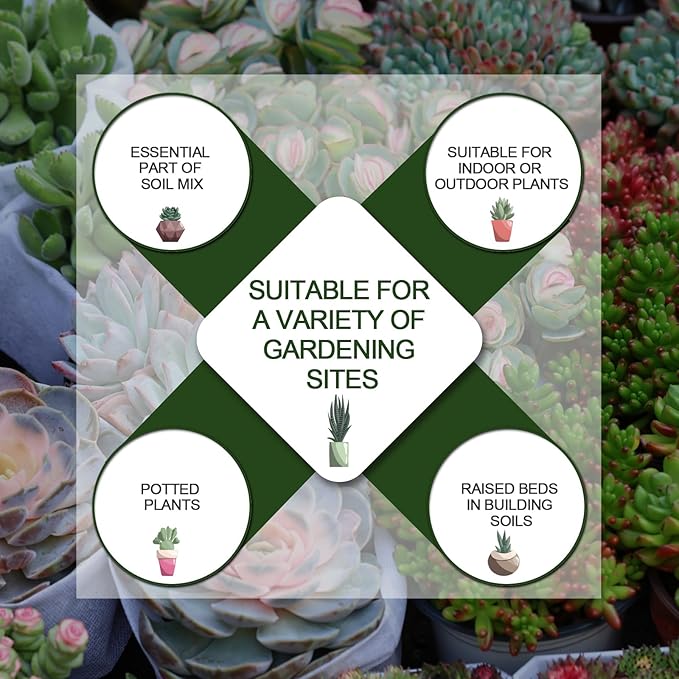 2 LBS White Pea Gravel, Natural Succulent and Cactus Gravel Pebbles, Pebbles for Indoor Plants, Natural Gardens Mulching, for Houseplants, for Aquarium Gravel, to Maintain Soil Aeration(4-6mm)