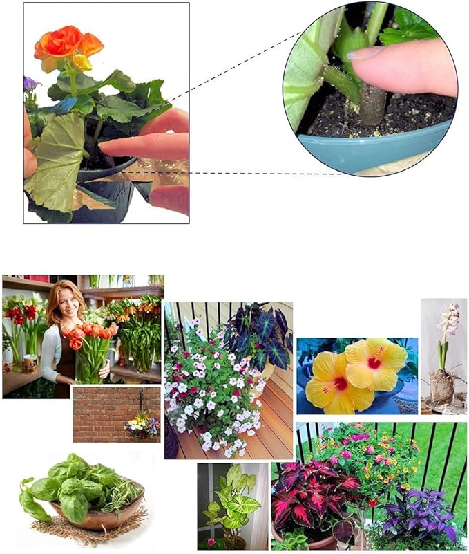 100 EarthPods - Premium Flower Fertilizer Spikes - Boost Blossoms (Great for Roses, Potted Annuals, Perennials, Flower Bulbs, Hanging Baskets) - Made in USA