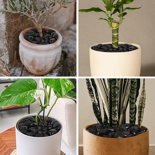 10Ib Black River Rocks for Landscaping-Polished Pebbles for Plants-Garden Decorative Stones-1-2" Large Plant Rocks,Ideal for Aquarium, Home Decor