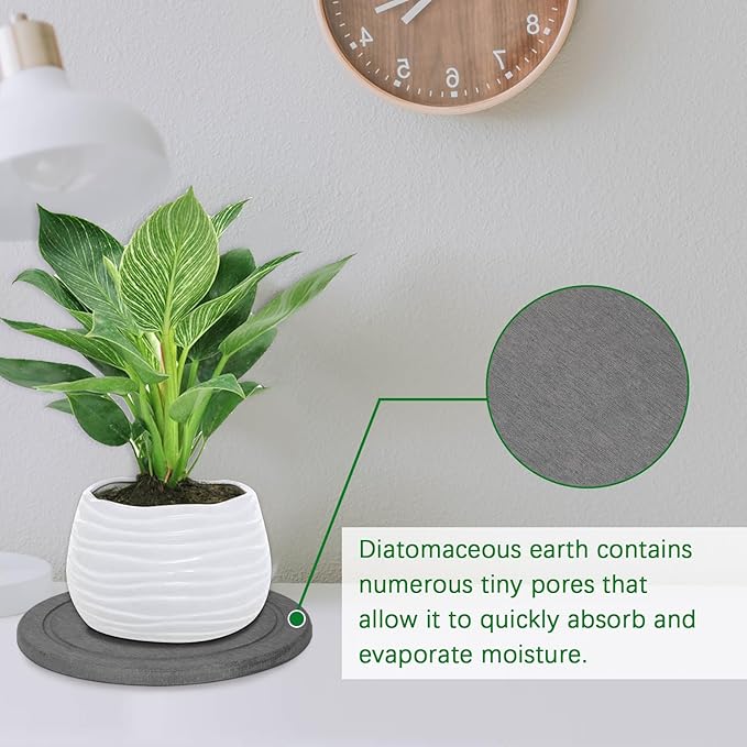 Plant Saucer Flower Pot Saucers Plant Trays for Pots Instant Dry Diatomaceous Earth Round Plant Drip Trays for Indoors Keeping Counter and Floors Dry and Clean (2Pcs Grey Large)