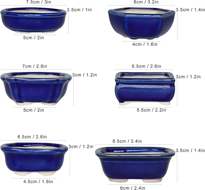 Bonsai Planter 6 pc Mini Glazed Succulent Pots Value Set + 6 Soft Mesh Drainage Screens