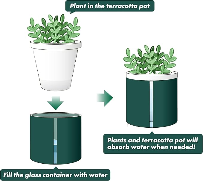 D'vine Dev 4 Inch Design Self Watering Planter for Indoor Plants, White Terracotta Pot with Teal Cylinder Glass Cup, Set of 2, 37-Y-A-5