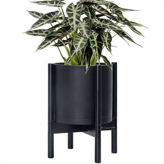 D'vine Dev Planter Pot with Stand - 10 Inch Plastic Cylinder Flower Pot with Wood Planter Holder for Indoor, Matte Black Pot + Ebony Stand, 55-C-N-2