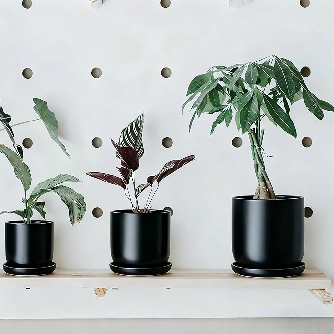 Ceramic Plant Saucer Pot Tray 6, 8, 10 Inch Black, Planter Saucers for Indoors Outdoor, Durable Sturdy Flower Drainage drip Water Tray for Glazed Pots Base