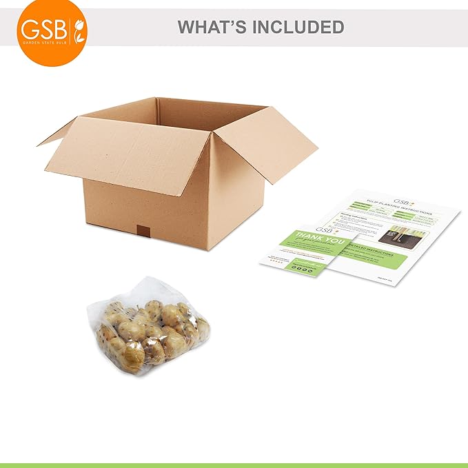 Garden State Bulb Double Late Double Dutch Mix Tulip Flower Bulbs, 12/+ cm, Fall Planting (Bag of 25)