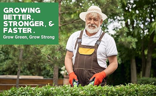 6-6-6 All-Purpose Professional Plant Food Fertilizer; Ideal for Winter Care & Spring Feeding, Perfect Balanced NPK for Indoor and Outdoor Plants (2 QUARTS)