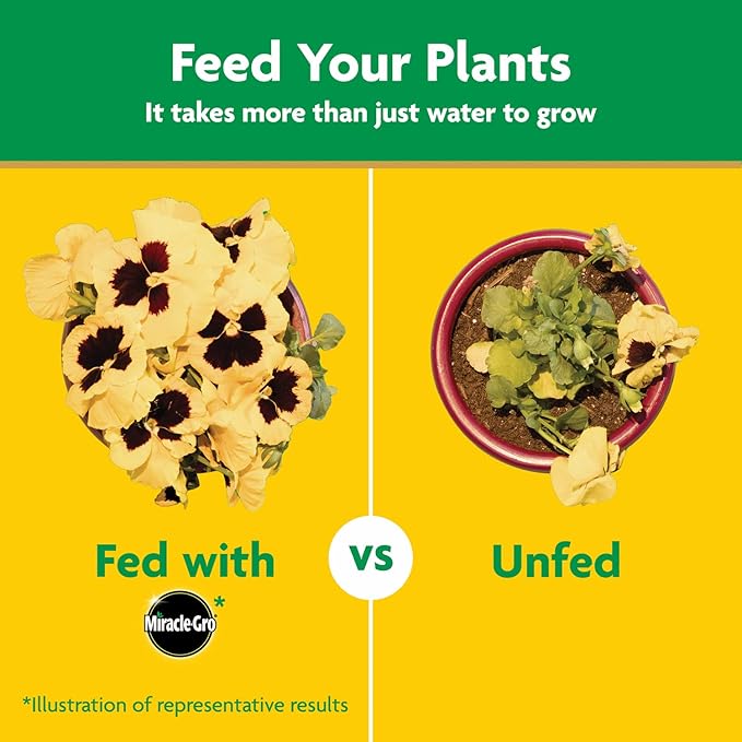 Miracle-Gro Water Soluble All Purpose Plant Food, Feed Flowers, Vegetables, Roses, Shrubs, and Houseplants, 5.5 lb.