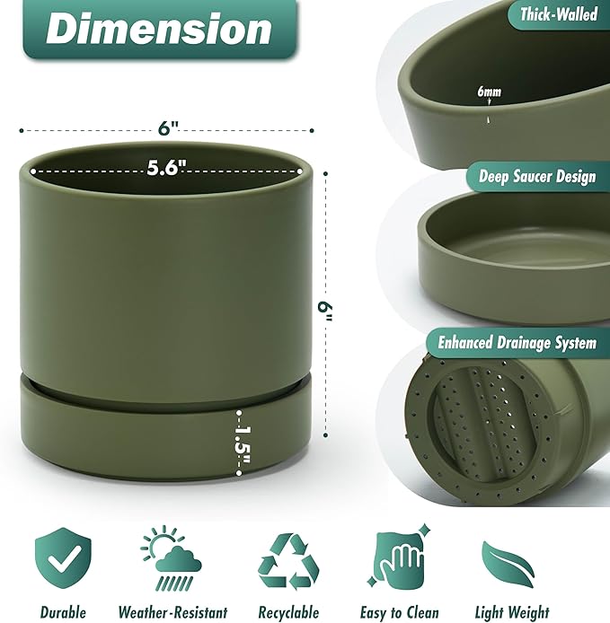 Phoenix Vine 6 Inch Planter Pot with Drainage Hole & Saucer, Deep Water Catch Tray, Straight Cylindrical Round Pot for Plants, Olive, Pack of 1, 23-F-S-1