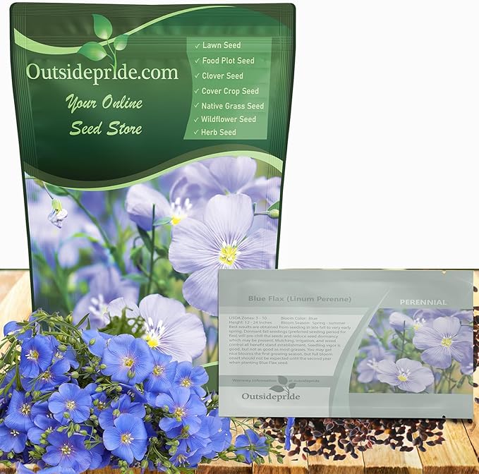Outsidepride Blue Flax Seeds - 1/4 lb Perennial Flower Seeds for Planting, Self-Seeding, Drought-Tolerant w/Compact Growth, Ideal for Small Gardens, Meadows, Borders, or Mass Plantings