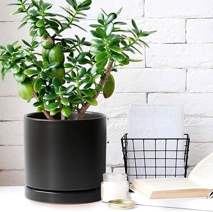 Plant Saucer Pot Tray Planter Saucers 4 in, 5 6 7 8 9 10 11 12 Inch Black 4 Pack for Indoors Outdoor, Durable Sturdy Ceramic Flower Drainage Tray for Glazed Pots Base ((4.5"/4.1"-Black)