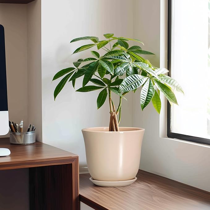 8 Inch Plant Pot - Ceramic Pots for Plants Indoor Outdoor, Round Flower Pots with Drainage Hole and Saucer, Modern Decorative Planters, Home Office Desk Room Decor, Plant Lover Gifts, Beige