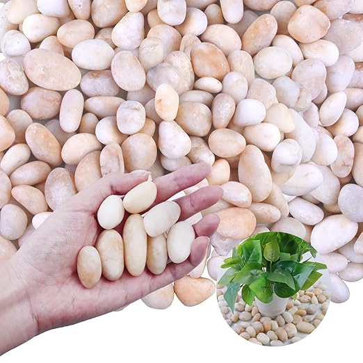 20Ib Cream White River Rock- Decorative Pebbles for Plants - River Rocks for Outdoor Landscaping- 0.3"-0.8" inch High Polished Stones for Aquarium, Terrarium,Vases, Home Decor
