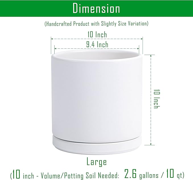 D'vine Dev Set of 2 Plants Pots, 10 Inch Ceramic Planter Pot for Plants with Drainage Hole and Saucer, White, 94-V-E-1