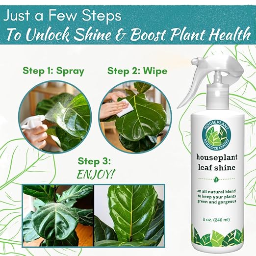 Houseplant Leaf Shine Spray – All-Natural Leaf Cleaner and Gloss for Healthy Shine & Better Photosynthesis | Perfect for House Plants and Foliage | 8 oz