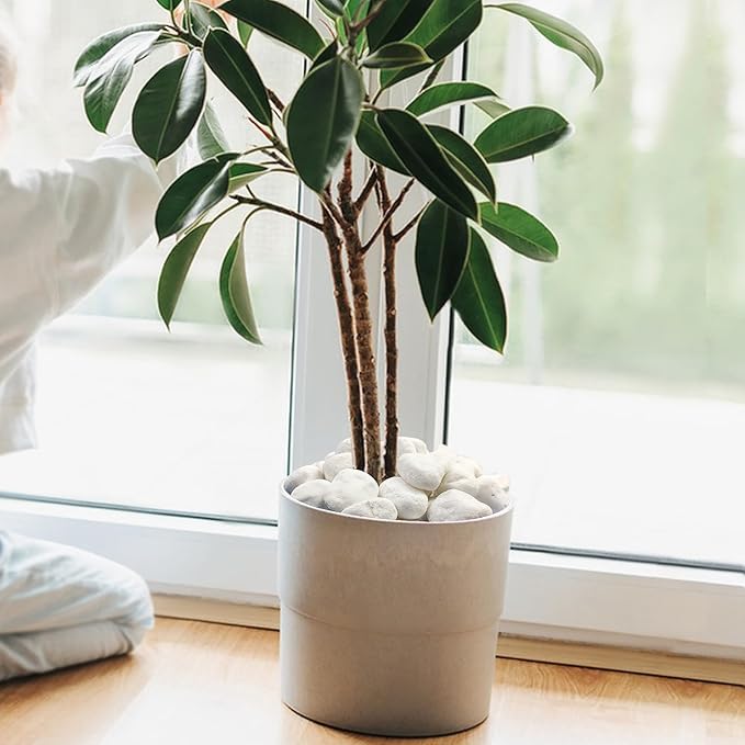 5 lbs White River Rocks for Plants, 1-2 Inch Pebbles for Indoor Plants, Decorative Gravel Stones for Succulent, Cactus, Landscaping, Vases, Aquariums, Crafting and Garden