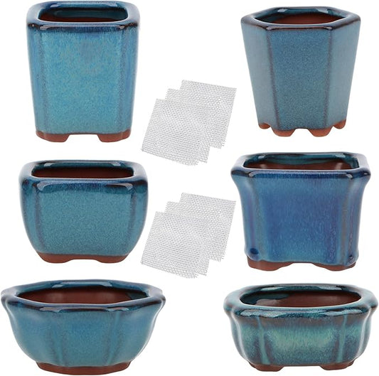 Bonsai Planter Succulent 6 pc Mini Glazed Pots Value Set + 6 Soft Mesh Drainage Screens