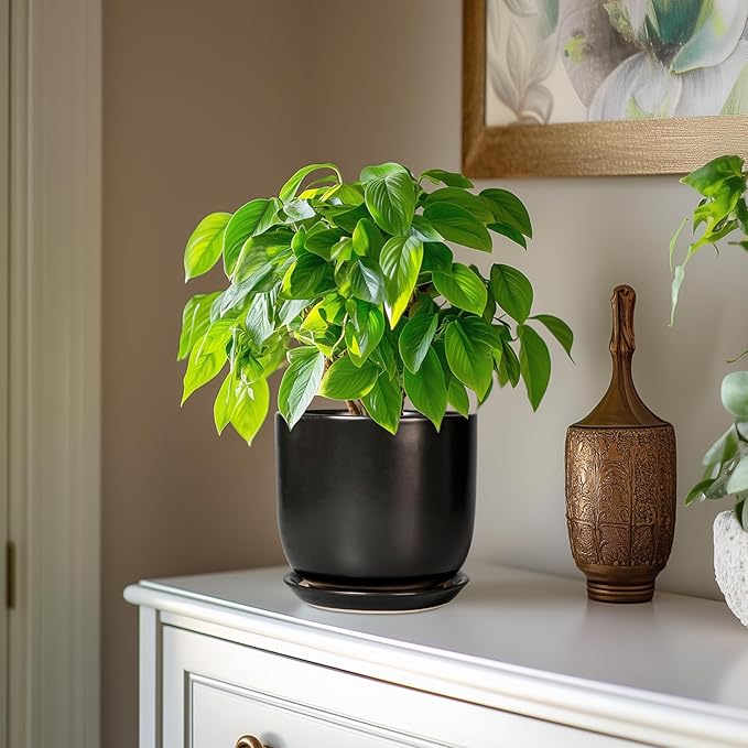 Ceramic Planter 7 Inch - Cylinder Round Modern Indoor Plant Pot for Plants with Drainage Hole and Saucer, Room Home Patio Office Patio Decor, Black