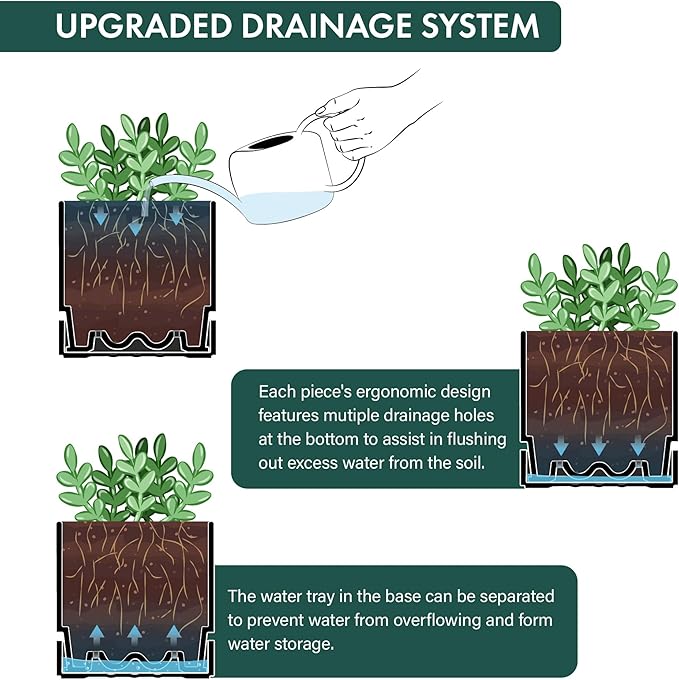 Phoenix Vine 6 Inch Planter Pot with Drainage Hole & Saucer, Deep Water Catch Tray, Straight Cylindrical Round Pot for Plants, Matte Black, Pack of 4, 23-C-S-4