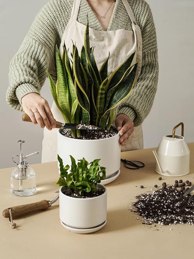 LE TAUCI Ceramic Plant Pots, Set of 2, 8 & 10 Inch Plant Pots Indoor with Saucer and Drainage, Modern Durable Planters for Home Decor, Great Gift for Plant Lover, White