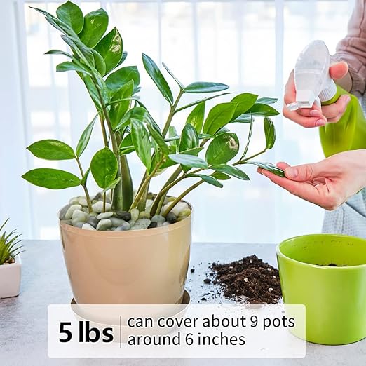 5LB Succulent and Cactus Jade Pebbles, 3/8 Inch Natural Decorative Polished Stones, River Rocks for Indoor Plants, Vases, Planters and Outdoor Gardening