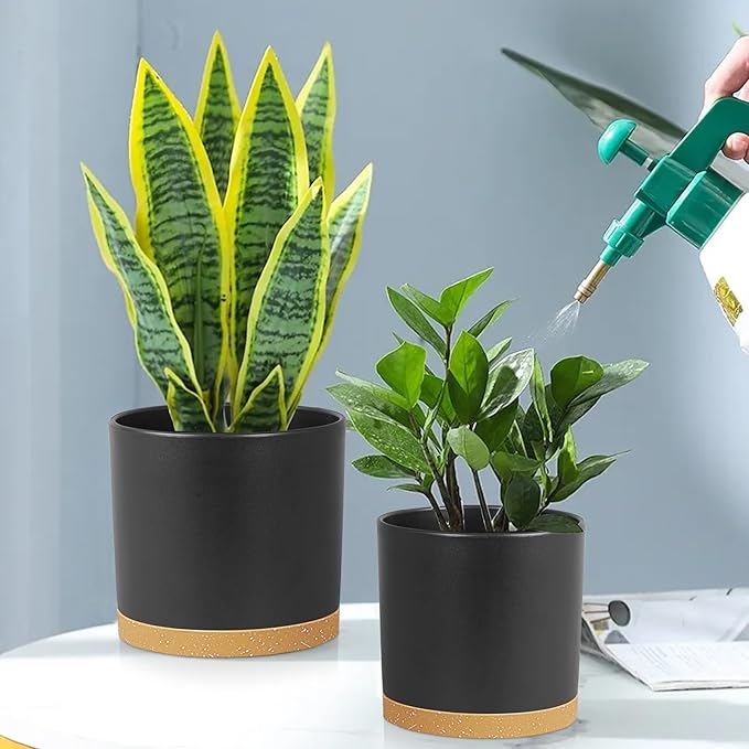 12/10/8 inch Large Plant Pots, 3 Pack Tall Deep Cylinder Flower Pots for Outdoor Indoor Plants, Plastic Planters with Drainage Holes and Saucers for Garden House Plants, Black with Brown