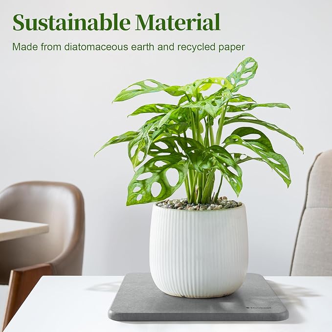 Plant Saucer, 8" Instantly Dry Diatomaceous Earth Stone Prevents Moisture Buildup, Flower Plant Tray Pot Saucer Keep Counter and Floors Dry and Clean (2 Pack)- Dark Gray
