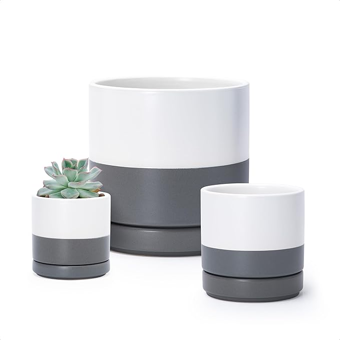 D'vine Dev 3 Inch & 4 Inch & 6 Inch, Set of 3 Round Ceramic Planter Pot with Drainage Hole and Saucer, White/Speckled Grey, 94-T-S-6