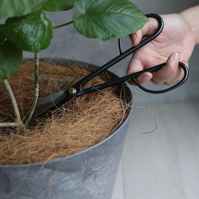 Wazakura Twig Bonsai Scissors Made in Japan 8-1/4inch(210mm), Japanese Bonsai Garden Tools, Hasami Pruning Shears - Long Handle Black